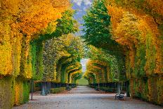 Long Road in Autumn Park-badahos-Stretched Canvas