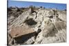 Badands, Theodore Roosevelt National Park, North Dakota-Paul Souders-Stretched Canvas