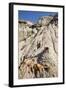 Badands, Theodore Roosevelt National Park, North Dakota-Paul Souders-Framed Photographic Print