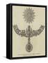 Badge, Collar, and Star of a New Order of Knighthood Instituted by the King of Siam-null-Framed Stretched Canvas