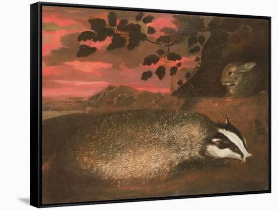 Badger, 17th Century-Francis Barlow-Framed Stretched Canvas