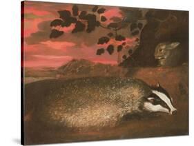 Badger, 17th Century-Francis Barlow-Stretched Canvas