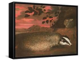 Badger, 17th Century-Francis Barlow-Framed Stretched Canvas