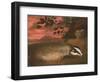 Badger, 17th Century-Francis Barlow-Framed Giclee Print