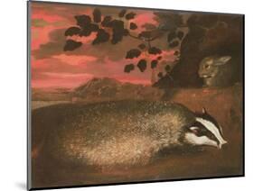 Badger, 17th Century-Francis Barlow-Mounted Giclee Print