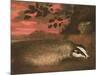 Badger, 17th Century-Francis Barlow-Mounted Giclee Print