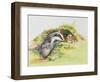 Badger and a Rabbit-Diane Matthes-Framed Giclee Print