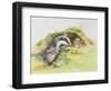 Badger and a Rabbit-Diane Matthes-Framed Giclee Print