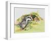 Badger and a Rabbit-Diane Matthes-Framed Giclee Print