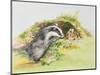 Badger and a Rabbit-Diane Matthes-Mounted Giclee Print