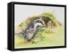 Badger and a Rabbit-Diane Matthes-Framed Stretched Canvas