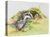 Badger and a Rabbit-Diane Matthes-Stretched Canvas