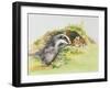 Badger and a Rabbit-Diane Matthes-Framed Giclee Print