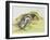 Badger and a Rabbit-Diane Matthes-Framed Giclee Print