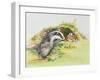 Badger and a Rabbit-Diane Matthes-Framed Giclee Print