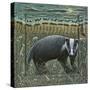 BADGER AND COWS-PJ Crook-Stretched Canvas