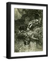 Badger Austria 1891-null-Framed Giclee Print