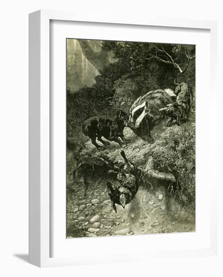 Badger Austria 1891-null-Framed Giclee Print