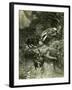 Badger Austria 1891-null-Framed Giclee Print