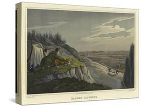 Badger Catching-Henry Thomas Alken-Stretched Canvas