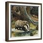 Badger, Fox, Owl and Mouse-null-Framed Giclee Print