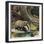 Badger, Fox, Owl and Mouse-null-Framed Giclee Print