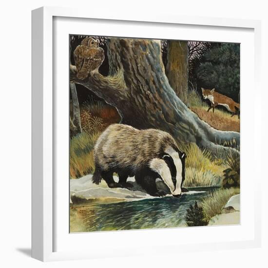 Badger, Fox, Owl and Mouse-null-Framed Giclee Print