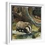 Badger, Fox, Owl and Mouse-null-Framed Giclee Print