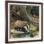 Badger, Fox, Owl and Mouse-null-Framed Giclee Print