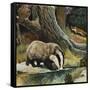 Badger, Fox, Owl and Mouse-null-Framed Stretched Canvas