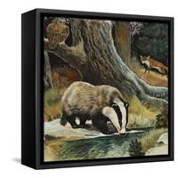 Badger, Fox, Owl and Mouse-null-Framed Stretched Canvas