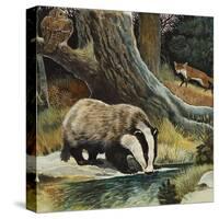 Badger, Fox, Owl and Mouse-null-Stretched Canvas