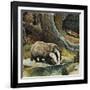 Badger, Fox, Owl and Mouse-null-Framed Giclee Print