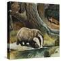Badger, Fox, Owl and Mouse-null-Stretched Canvas