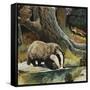 Badger, Fox, Owl and Mouse-null-Framed Stretched Canvas