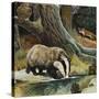 Badger, Fox, Owl and Mouse-null-Stretched Canvas