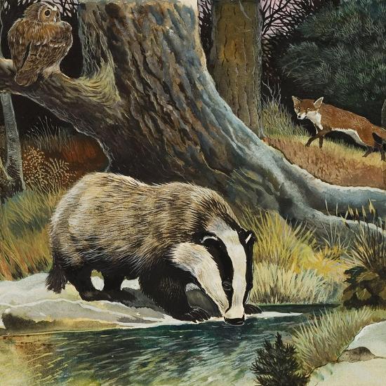 Giclee Print, , large