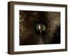 Badger, in a Concrete Tube-null-Framed Photographic Print