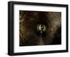 Badger, in a Concrete Tube-null-Framed Photographic Print