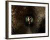 Badger, in a Concrete Tube-null-Framed Photographic Print