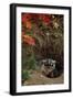 Badger Looking out from Den-W^ Perry Conway-Framed Photographic Print