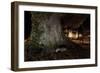 Badger (Meles Meles) Foraging by a Tree Near Buildings. Freiburg Im Breisgau, Germany, May-Klaus Echle-Framed Photographic Print