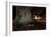 Badger (Meles Meles) Foraging by a Tree Near Buildings. Freiburg Im Breisgau, Germany, May-Klaus Echle-Framed Photographic Print