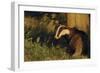 Badger (Meles Meles) Sub-Adult Beside Tree, Derbyshire, UK-Andrew Parkinson-Framed Photographic Print