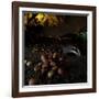 Badger (Meles Meles) under a Garden Apple Tree at Night. Freiburg Im Breisgau, Germany, November-Klaus Echle-Framed Photographic Print