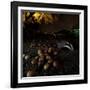 Badger (Meles Meles) under a Garden Apple Tree at Night. Freiburg Im Breisgau, Germany, November-Klaus Echle-Framed Photographic Print