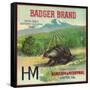 Badger Orange Label - Exeter, CA-Lantern Press-Framed Stretched Canvas