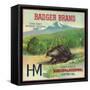 Badger Orange Label - Exeter, CA-Lantern Press-Framed Stretched Canvas