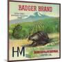 Badger Orange Label - Exeter, CA-Lantern Press-Mounted Art Print