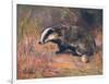 Badger, Swan, Wild Beasts-Cuthbert Swan-Framed Art Print